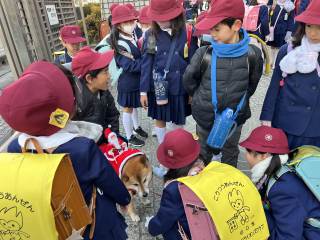 山口市立小郡南小学校-ニュース - 学校生活 -