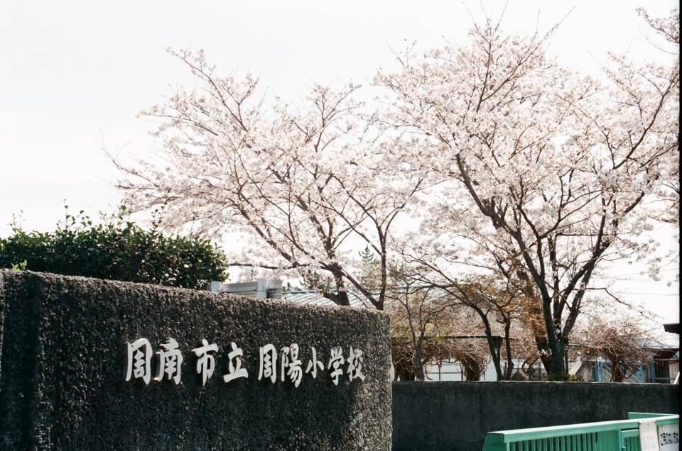 周南市立周陽小学校