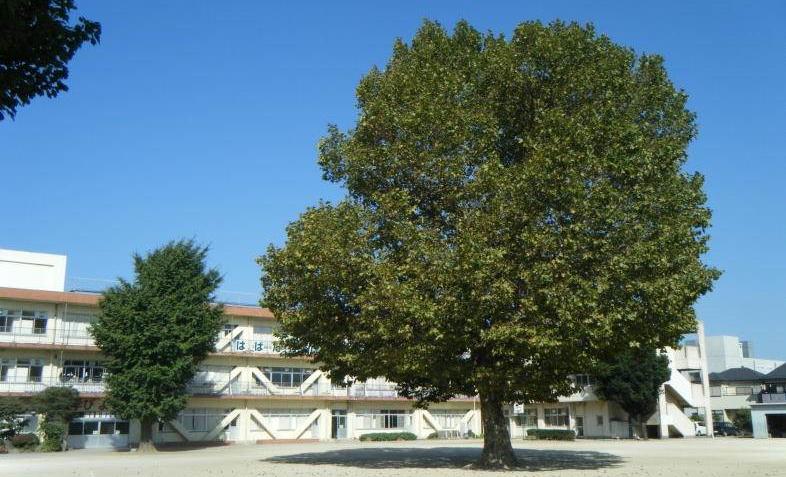 八千代市立大和田小学校-トップページ